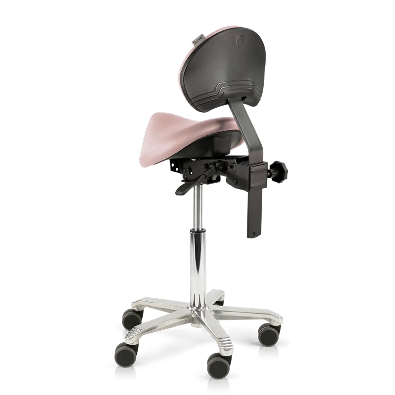 SCORE Amazone Sattelhocker mit Lendenstütze Nahtlos gepolstert